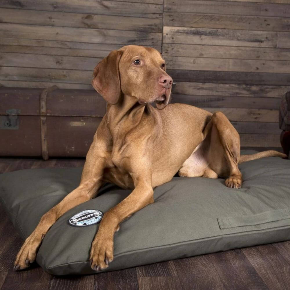 Scruffs Expedition Memory Foam Pillow Dog Bed