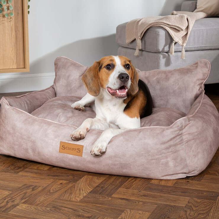 Scruffs Kensington Luxury Dog Box Bed XL